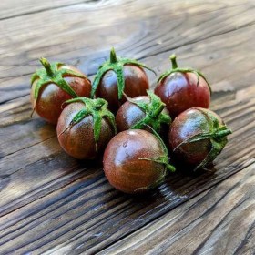 Cherokee Cherry paradicsom